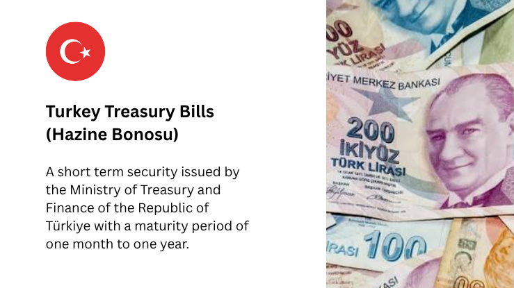 1-Year Turkey T-Bill